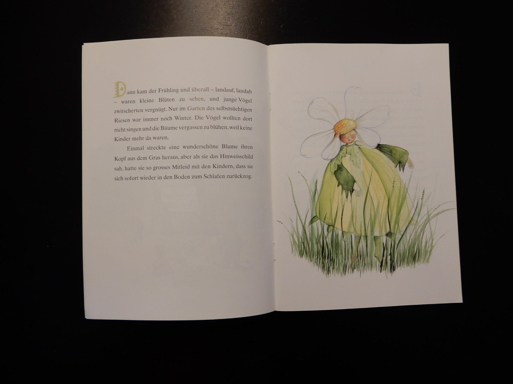 Libri: Der selbstsüchtige Riese - Kinderbuch – Usato da Erstfeld venduto da Mario_boe0 4