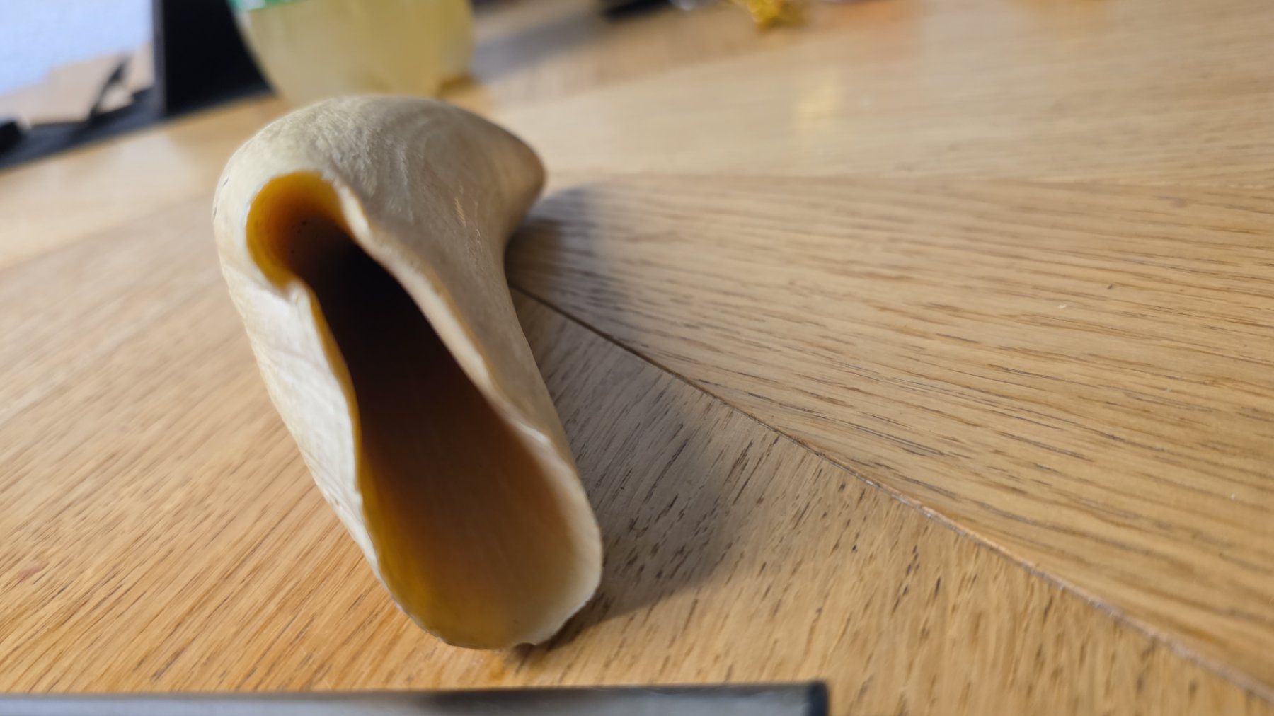 Fossili: Spermawal Zahn – Usato da Haslen GL venduto da zol_q9yh 1