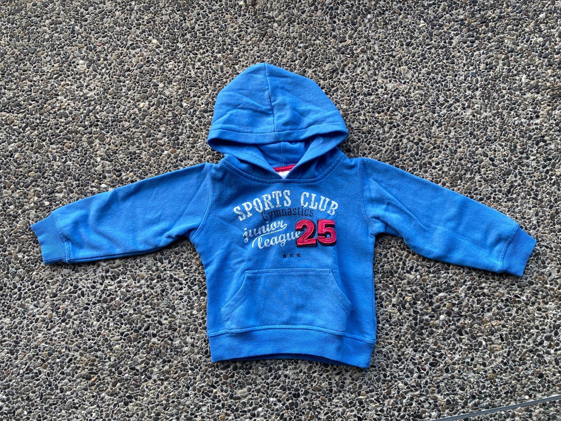 Maglioni & Felpe: Hoodie Kapuze, Pullover, Gr. 86/92 – Usato da Aetingen venduto da Nadinsky