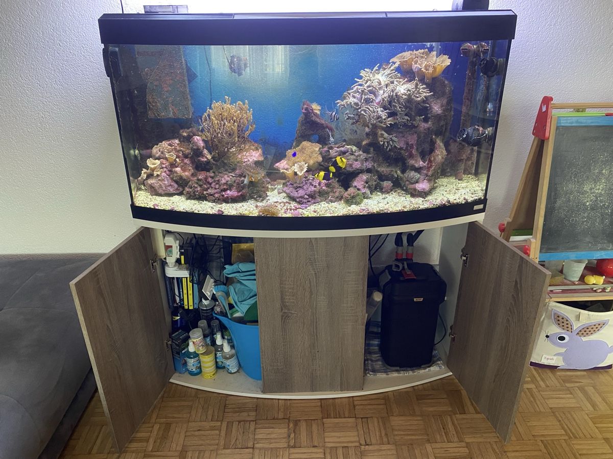 Aquarium: Aquarium / Meerwasseraquarium – Gebraucht aus Selzach von MK_83 2
