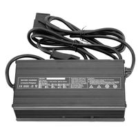 Ladegerät 60V 5A | 3.0 S & 6.0 S E roller
