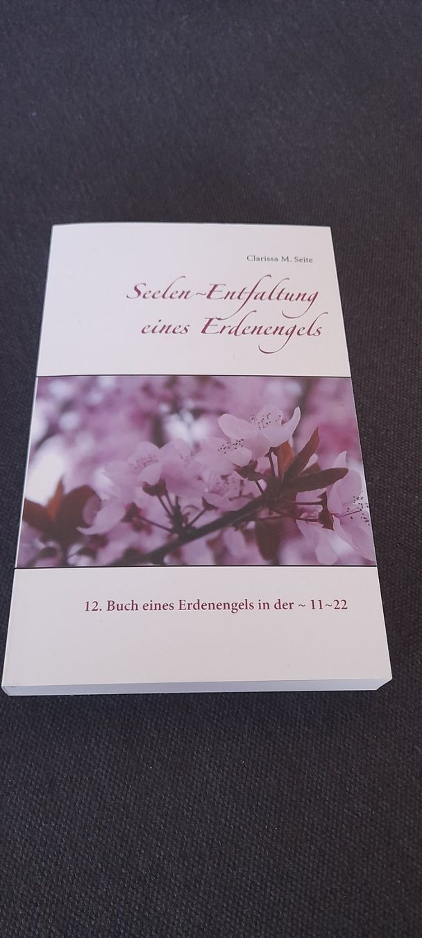 Bücher: Erdenengel Seelenentfaltung – Neu (gemäss Beschreibung) aus Küssnacht am Rigi von Froh-Herz