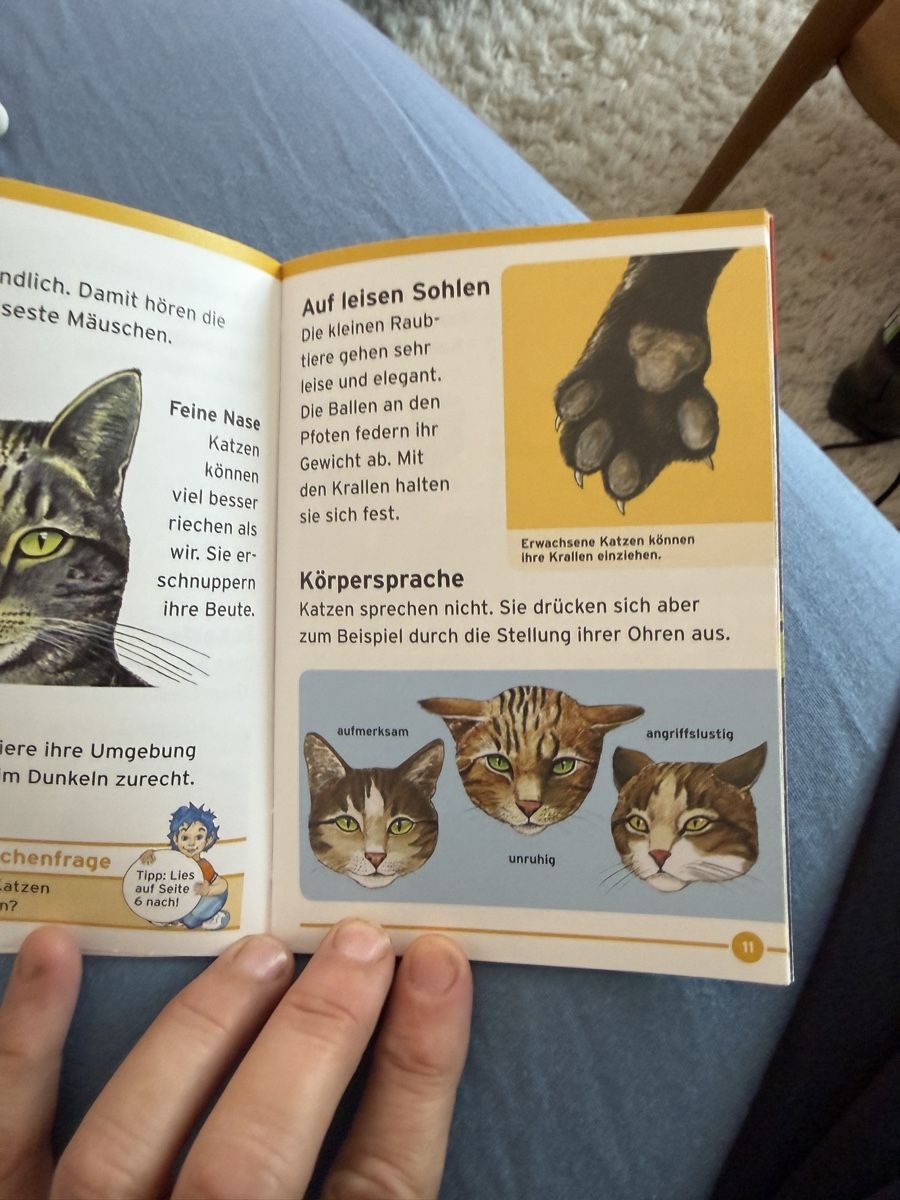 Bücher: Kinderleicht Wissen-Katzen - schnurren oder Kratzen – Gebraucht aus Aarau von Tam6 7