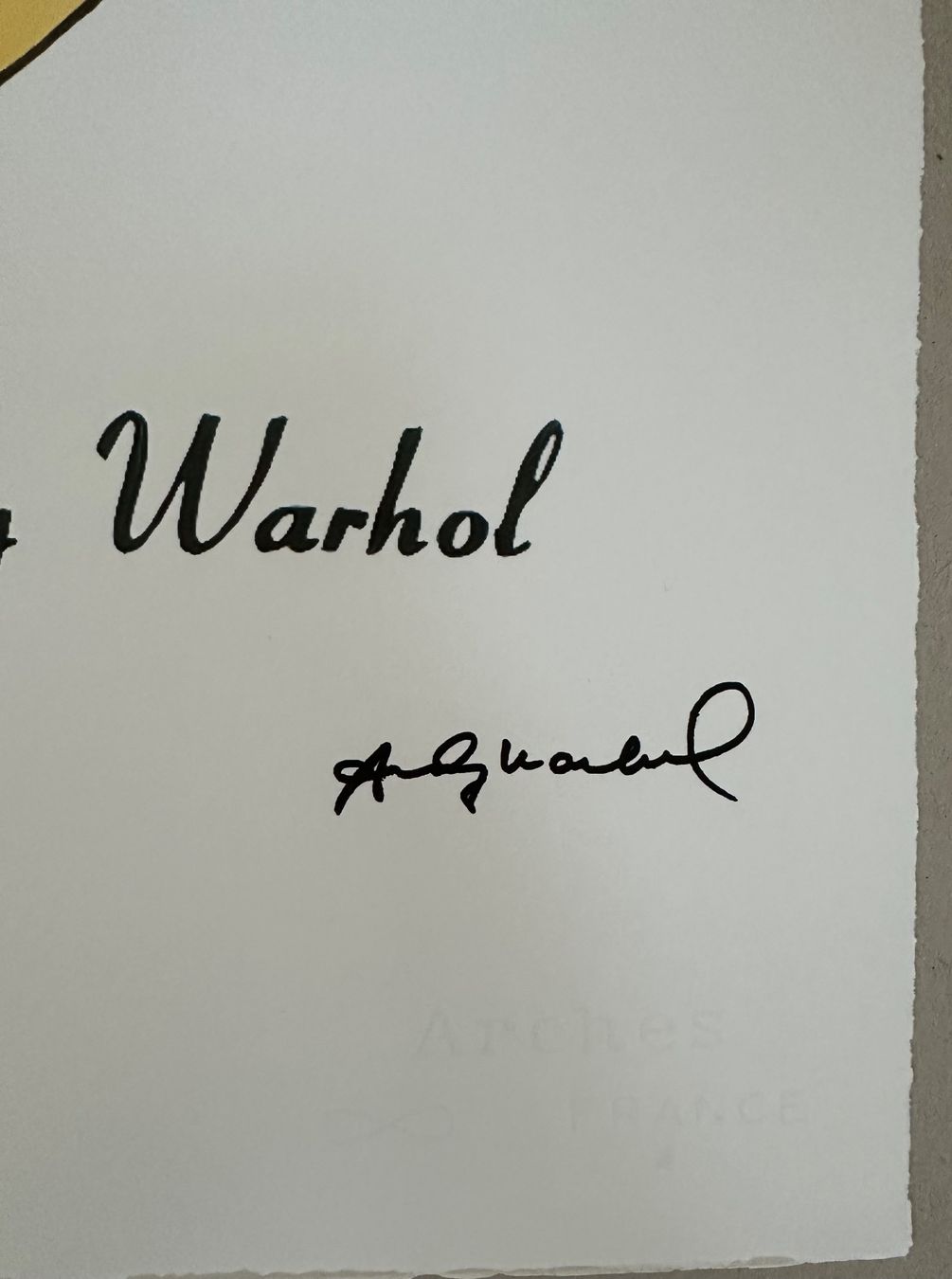 Foto & Immagini: Andy Warhol: Banana 69/100 – Nuovo (secondo la descrizione) da Meilen venduto da Smgdesign 2
