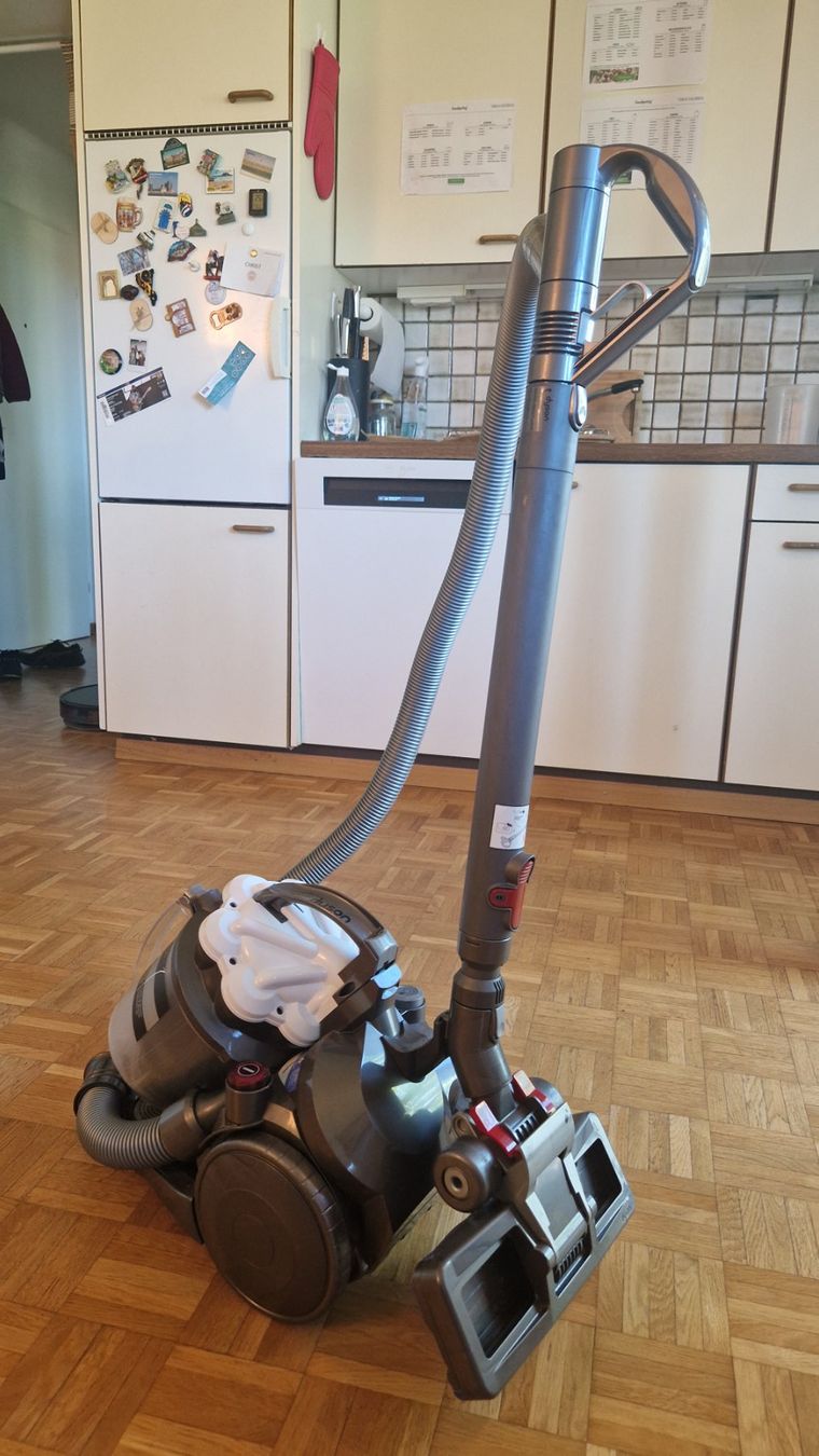 Dyson Aspirapolveri & Accessori: Dyson Staubsauger DC29 – Usato da Zürich venduto da ramoud 1