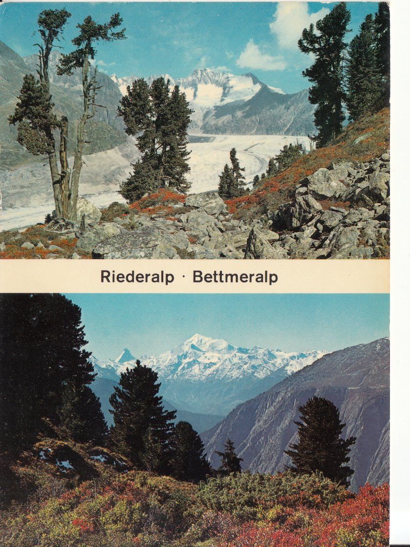 Cartoline postali: Riederalp Bettmeralp 1978 – Usato da Bürglen TG venduto da StampGraf