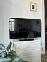 Fernseher Panasonic