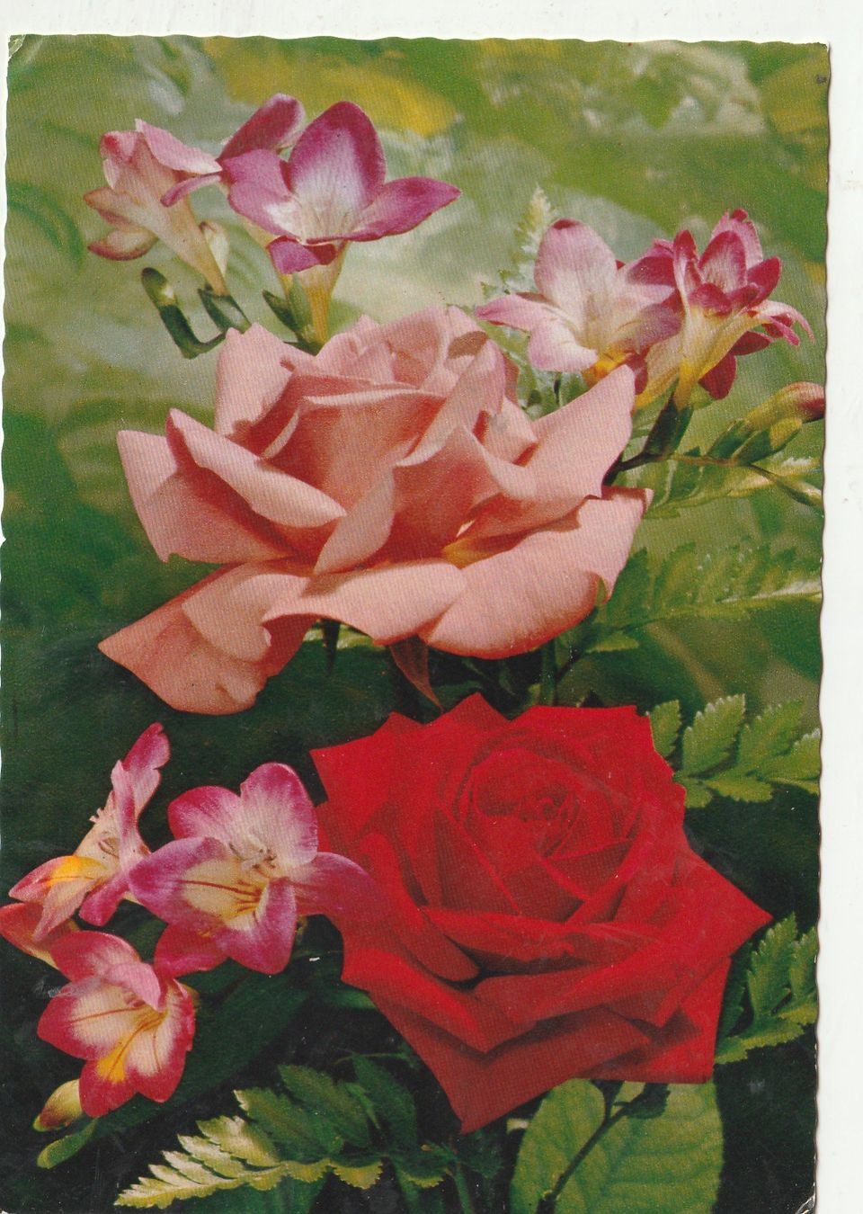 Cartes postales: Blumenkarte – D'occasion à Lumbrein par made02