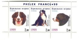 Block "Berner Sennenhund". Kurilen.