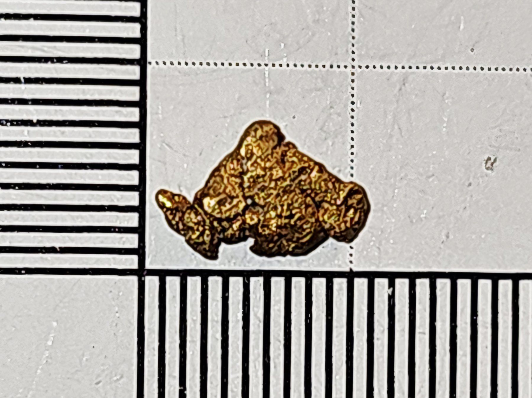 Metalli preziosi: Natürliches schweizer Gold Nugget – Nuovo e nell'imballaggio originale da Uerkheim venduto da Winwinner 1