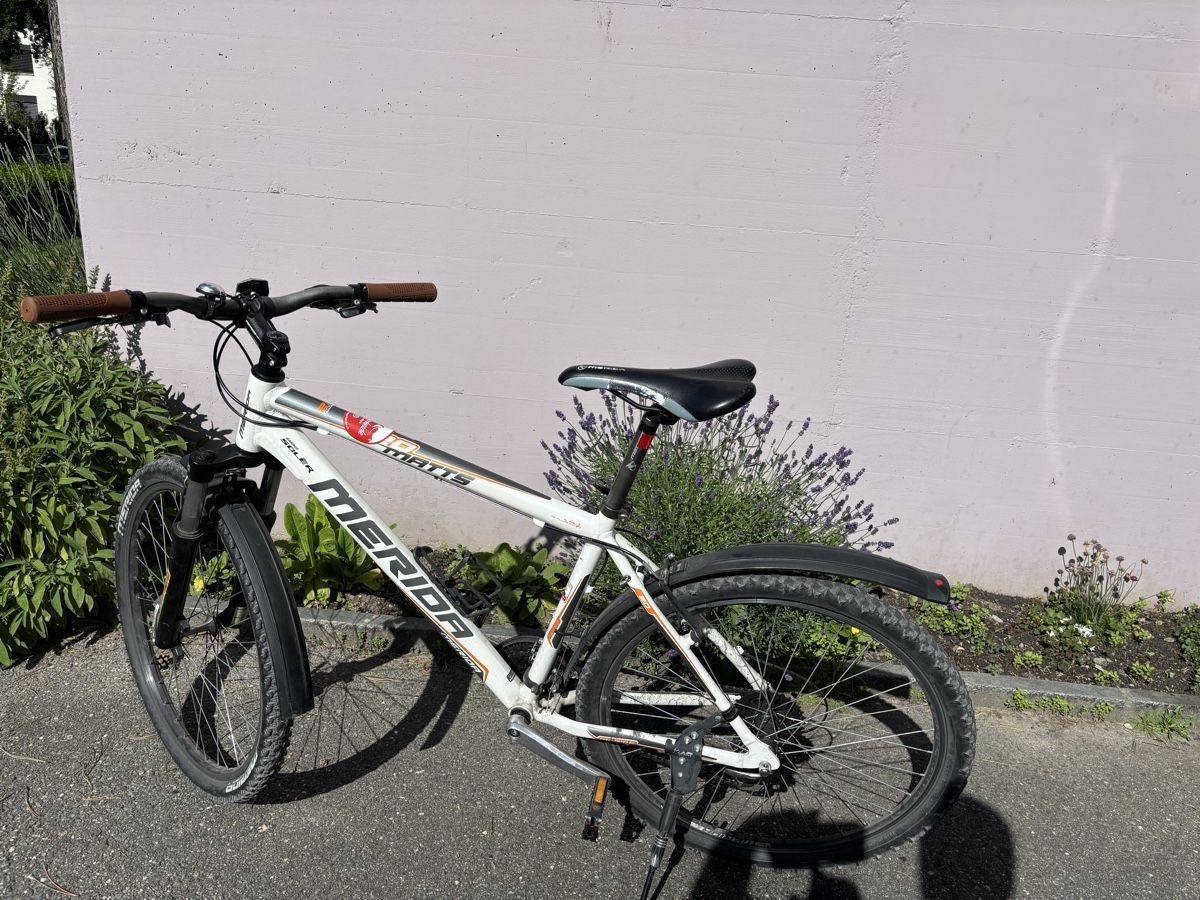 Merida Biciclette: Merida Mattis Mountainbike  – Usato da Chur venduto da Stechmuecke21 3