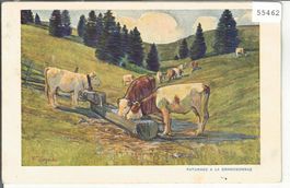 Paturage a la Grandsonnaz - Kühe, vaches