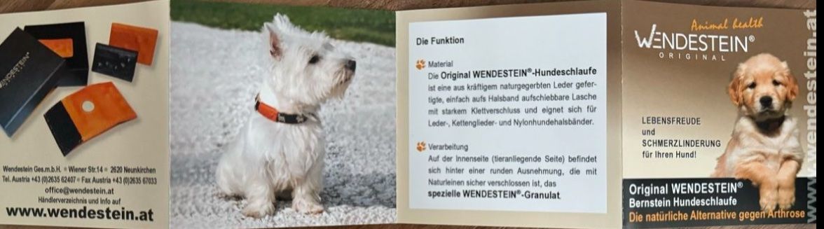 Leine & Halsband: Wendestein Tierschlaufe und Energetix – Gebraucht aus Arboldswil von CJDA 5