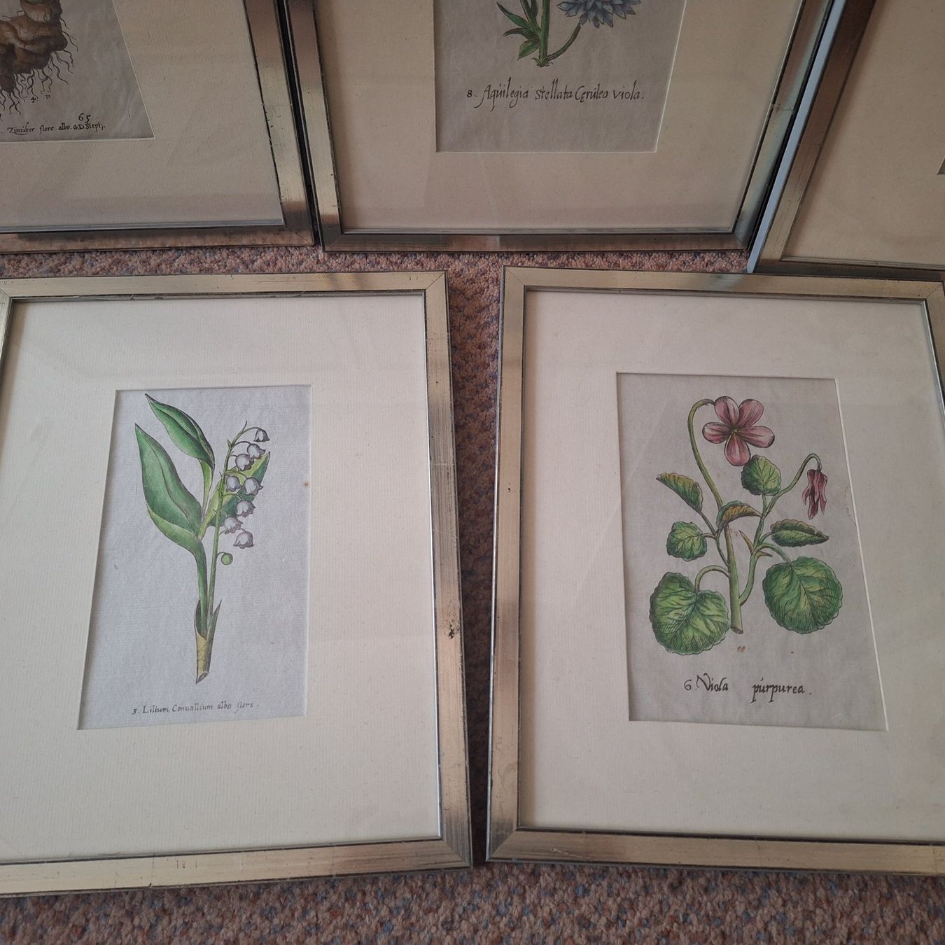 Poster & Bilder: Nostalgische Blumen Bilder silberfarbener Bilderrahmen – Gebraucht aus Winterthur von Goldpipau 2