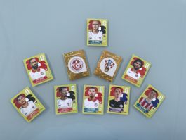 Stickers panini 