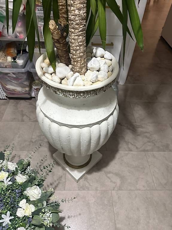 Vasi & Recipienti: pflanze mit römervase  – Usato da Adligenswil venduto da balboa5