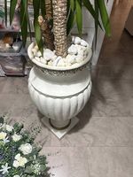 pflanze mit römervase 