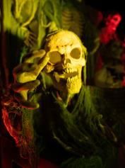Piante e fiori finti: Halloween Groundbreaker Skelett, 45cm – Nuovo e nell'imballaggio originale da Däniken SO venduto da Profog1 5