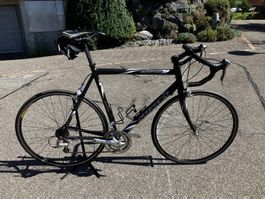 Stevens Rennrad