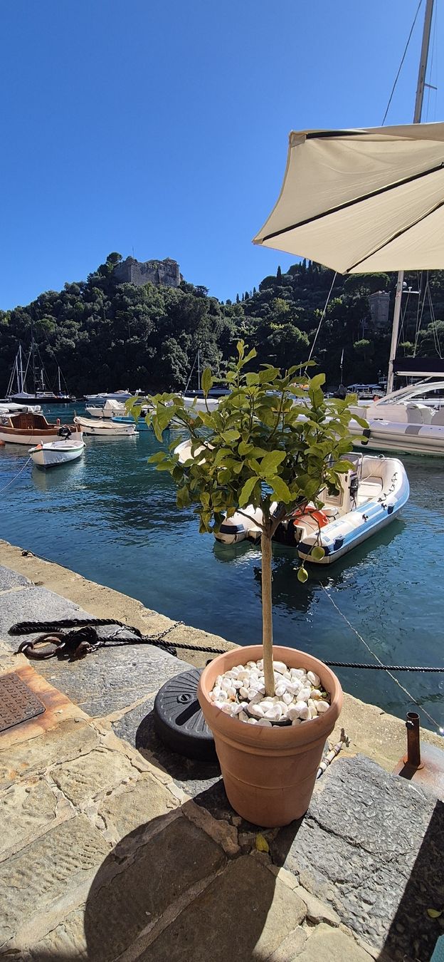 Foto & Immagini: Foto Portofino Italien – Nuovo e nell'imballaggio originale da Basel venduto da Shoppen