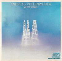 Vollenweider WHITE WINDS Buedi Siebert Haldemann New Age CD