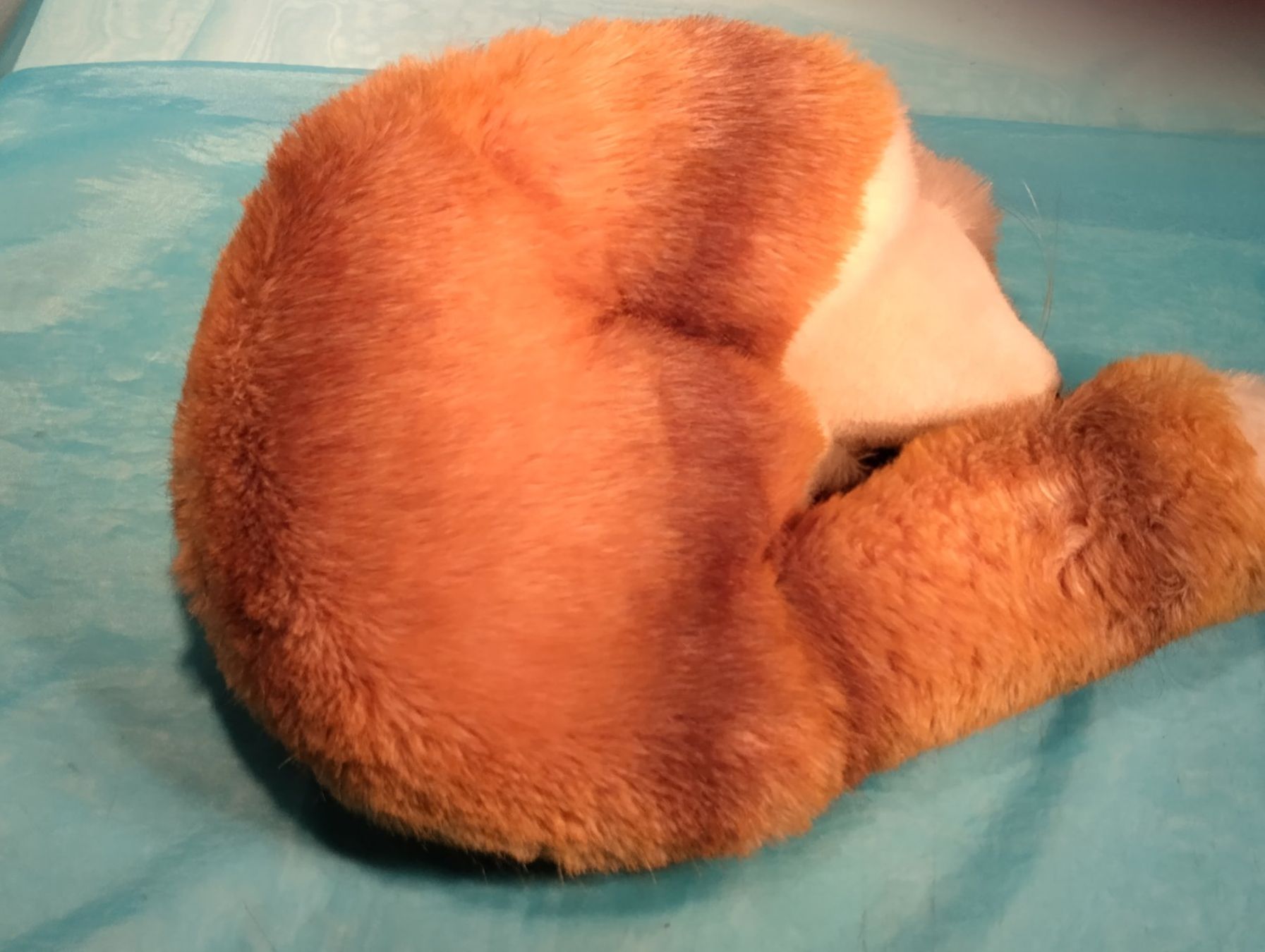 Steiff Giocattoli: Steiff Fuchs, liegend, Durchmesser: 35cm, 1542/35 – Nuovo (secondo la descrizione) da Bellach venduto da JingleCherry 3
