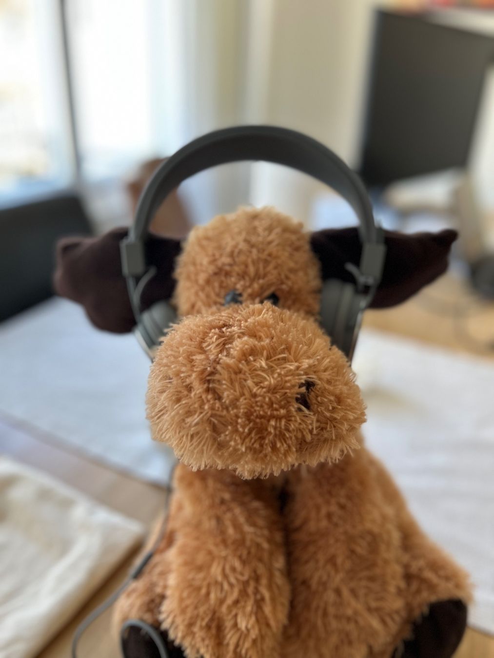Urbanears Cuffie: URBANEARS Kopfhörer Headphones grau – Usato da Zürich venduto da mar_st77 3