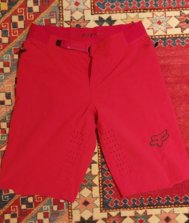 Fox Bike Shorts Grösse L NP 140 CHF