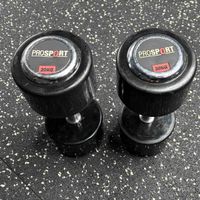 Prosport Hantel Paar 20 kg
