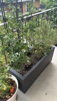 Blumenkiste inkl. Inhalt zu verkaufen