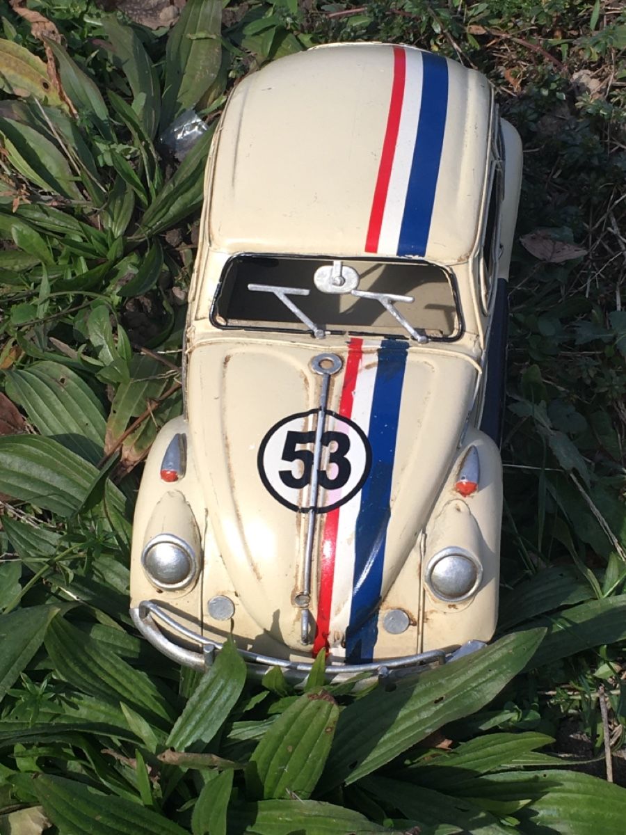 Modellautos: HERBIE 53 der Käfer – Gebraucht aus Wangen b. Olten von  2