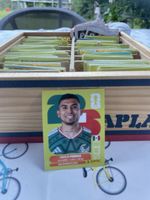 Mex 11 Orbelin Pineda Mexico Panini