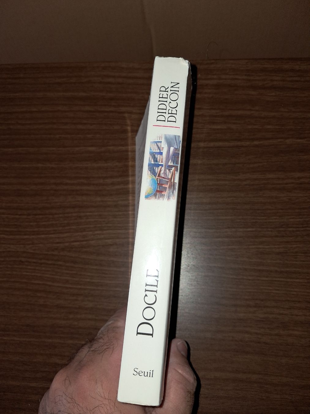 Libri: Didier Decoin - Docile (Roman Seuil) – Usato da Le locle venduto da juliensaran 2