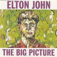 John Elton: Big picture CD