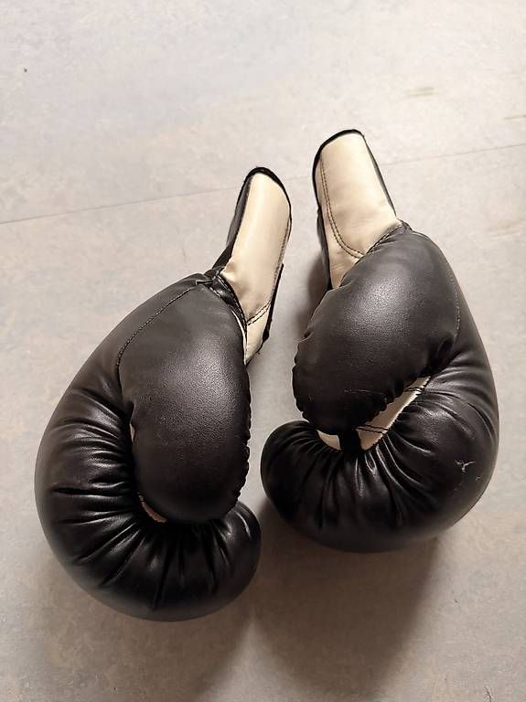 Boxsäcke: Boxsack & Handschuhe – Gebraucht aus Muttenz von chr_sn22 3