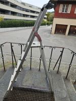 Hailo L60 Sicherheitsleiter 5 Stufen gebraucht 150 kg