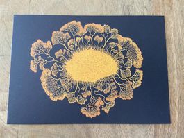 AK neu Illustration Pilz Royal Botanic Gardens Fungarium