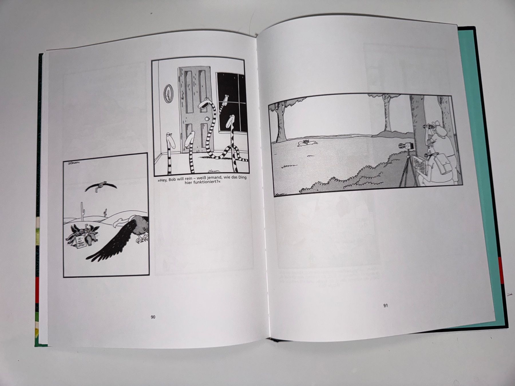 Bücher: BUCH: Gary Larson, Der Hund der anderen Seite – Gebraucht aus Grosswangen von Second_hand_paradise 5