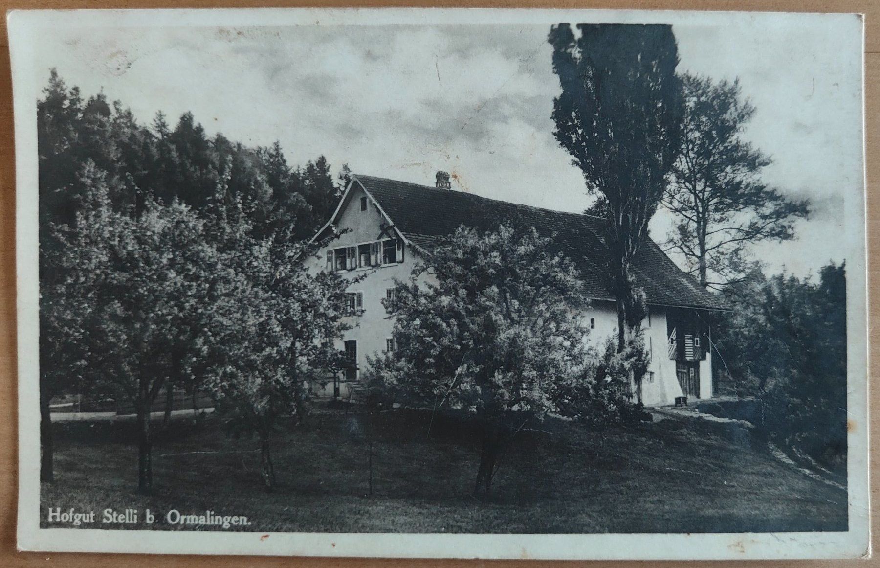 Ansichtskarten: Hofgut Stelli bei Ormalingen um 1920 – Gebraucht aus St. Erhard von Chaeferli6