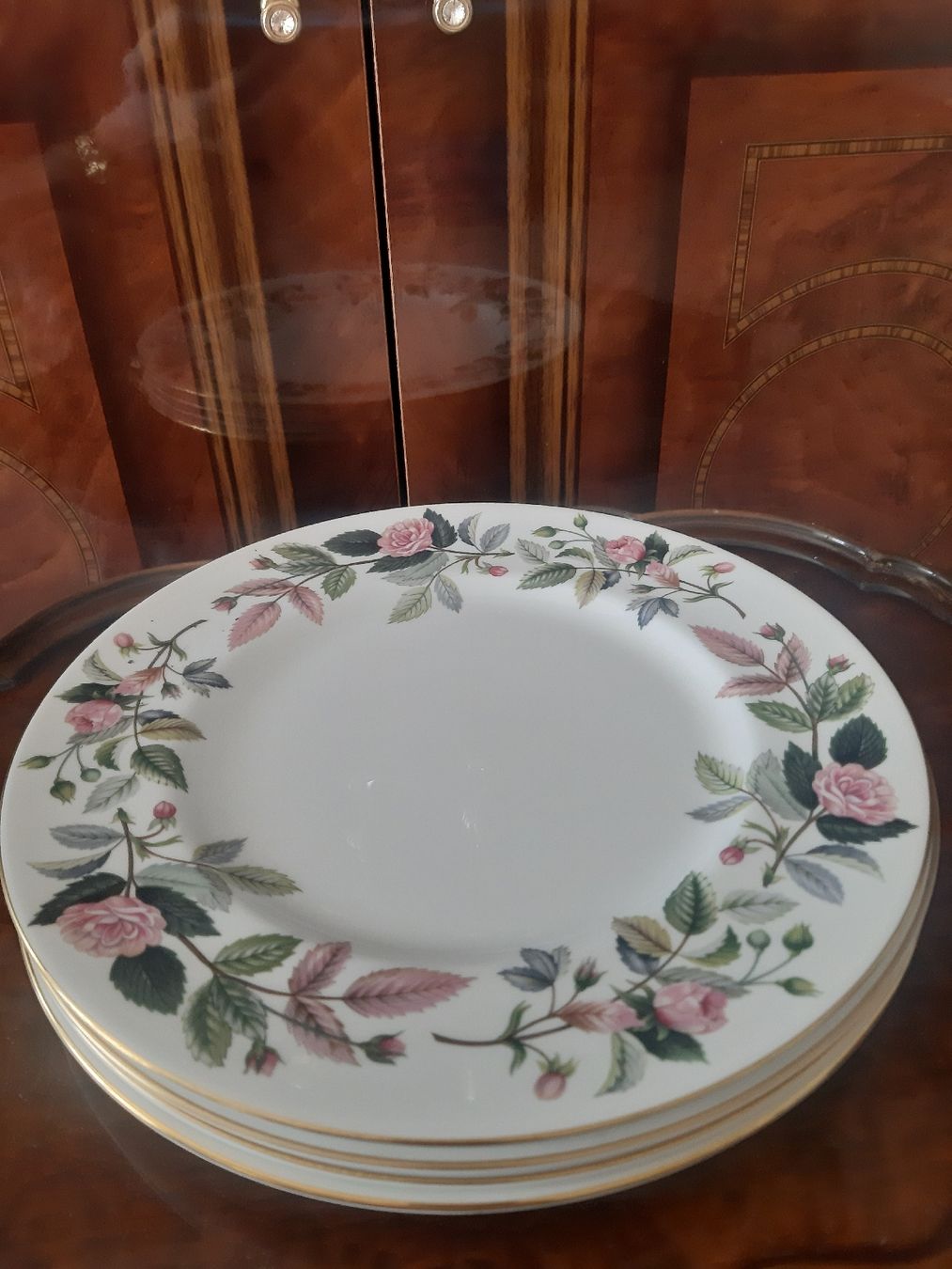 Wedgwood Piatti: Teller WEDGWOOD – Nuovo (secondo la descrizione) da Schattdorf venduto da epp_db95
