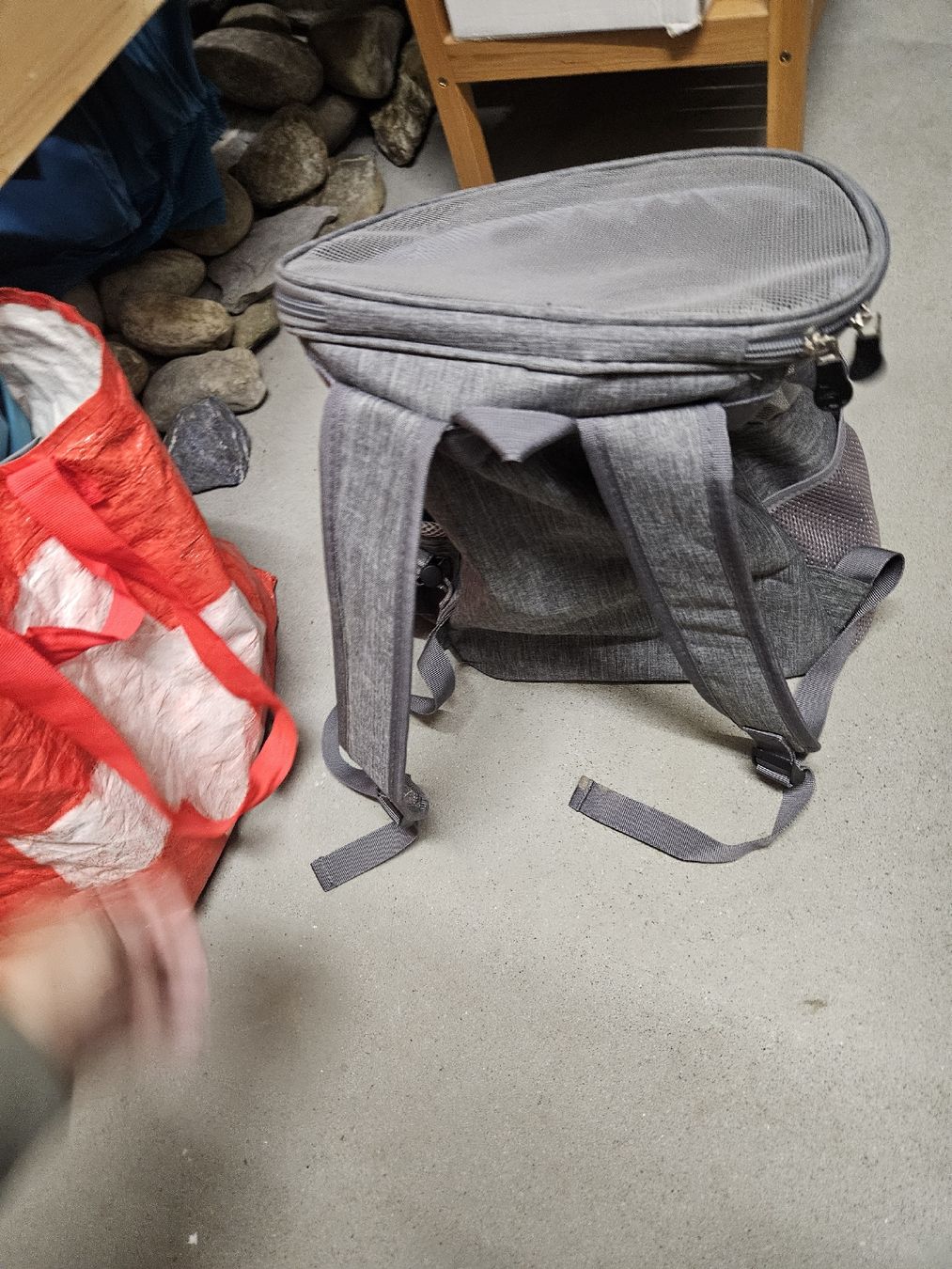 Zaini: Faltbarer Hunderucksack / Hundetransport – Nuovo (secondo la descrizione) da Unterkulm venduto da mizuu 2