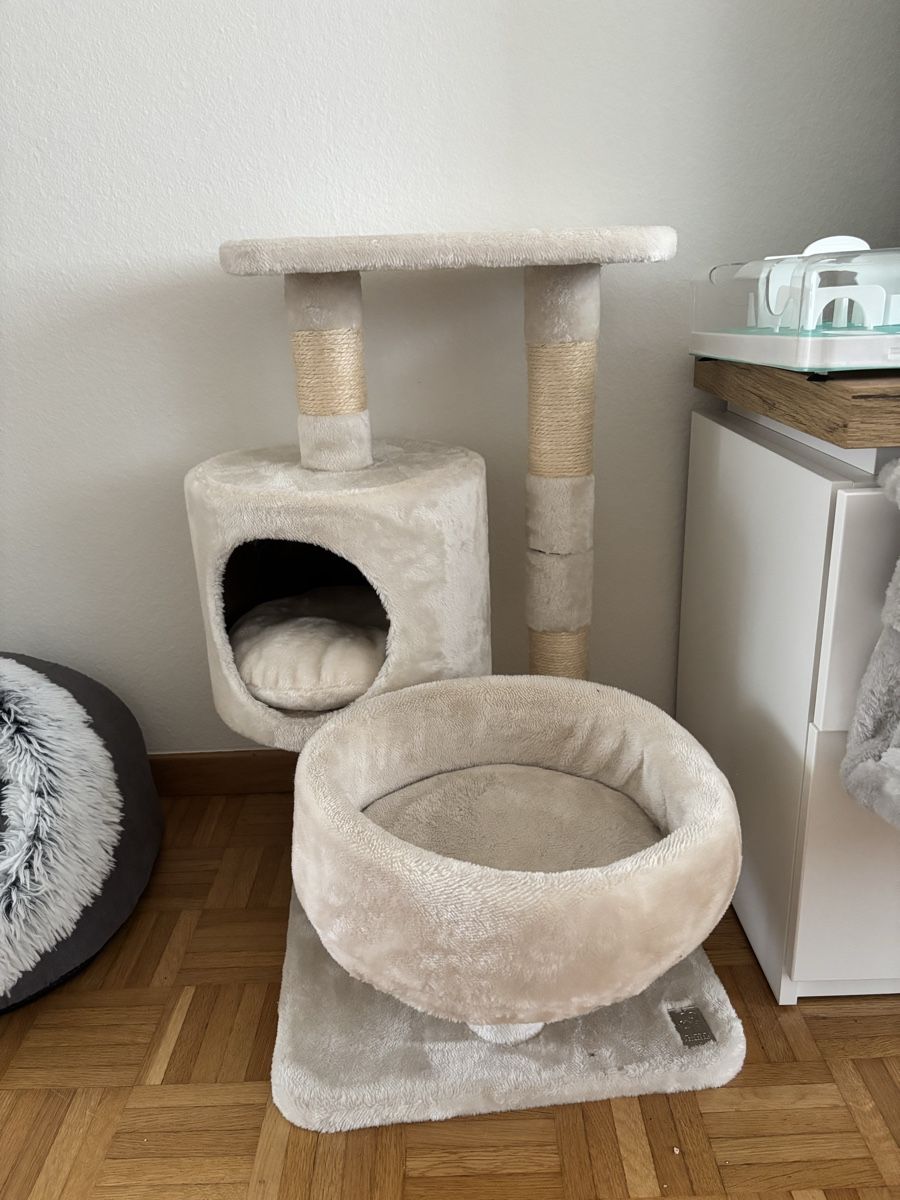 Tiragraffi: Katzen Zubehör Set - gebraucht – Usato da Baden venduto da che_qfy8 6