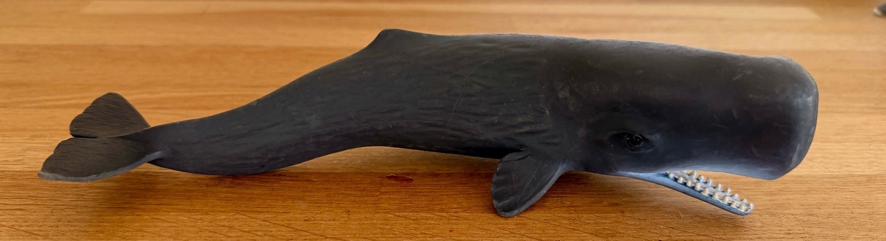 Schleich Giocattoli: SCHLEICH - Pottwal 14764 – Usato da Winterthur venduto da Secondhand-Family