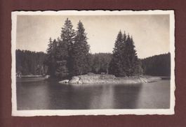 Foto - CAUMASEE - Inseli
