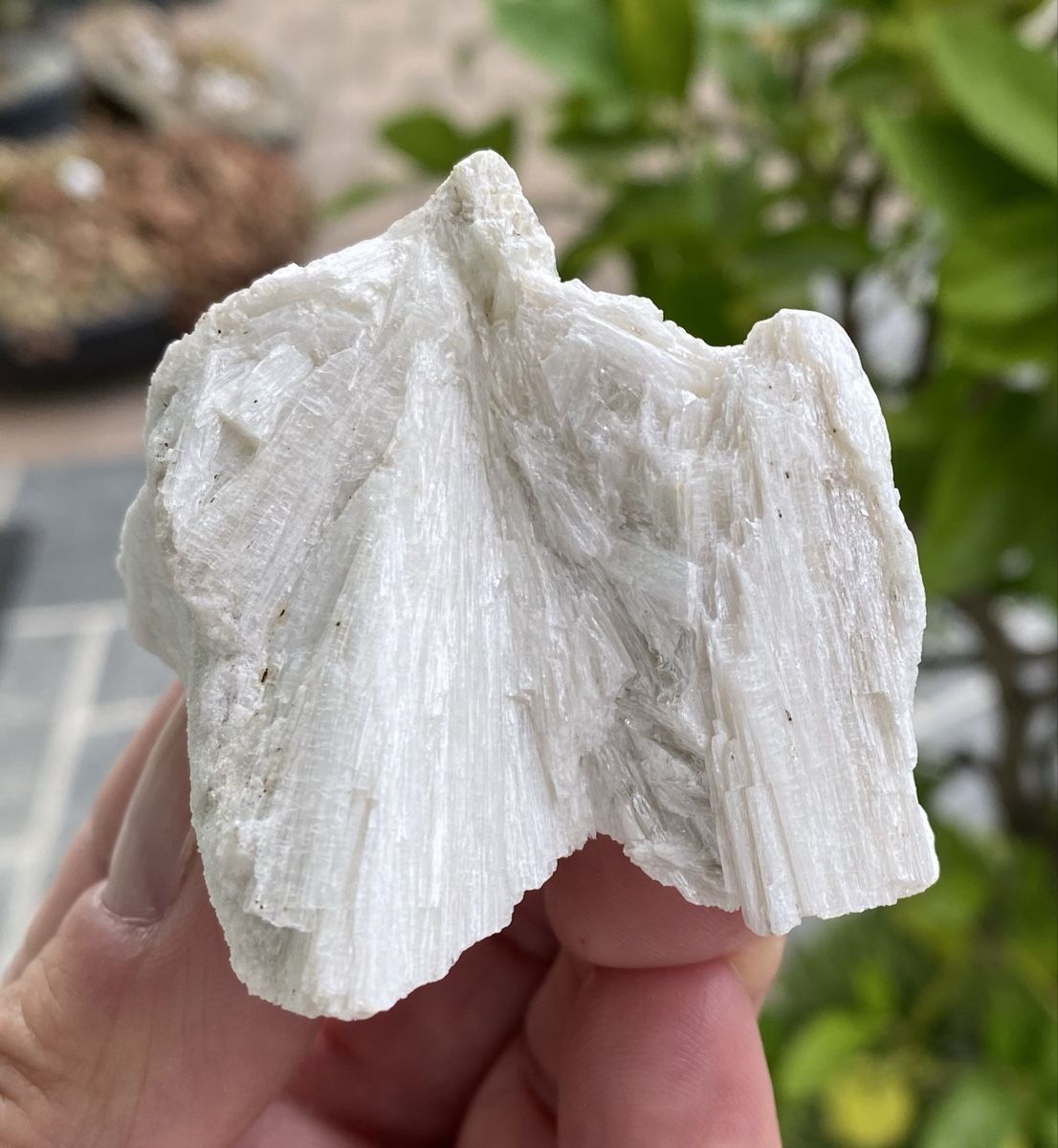 Minerali & Pietre curative: Zwei schöne Mineralien  – Usato da Selzach venduto da 321compac 3