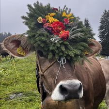 Profile image of super_cow