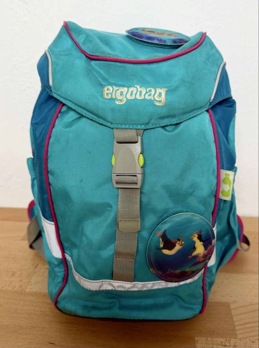 Ergobag Borse & Zaini: Ergobag Mini Rucksack für Kindergarten – Usato da Riehen venduto da kat_cx85