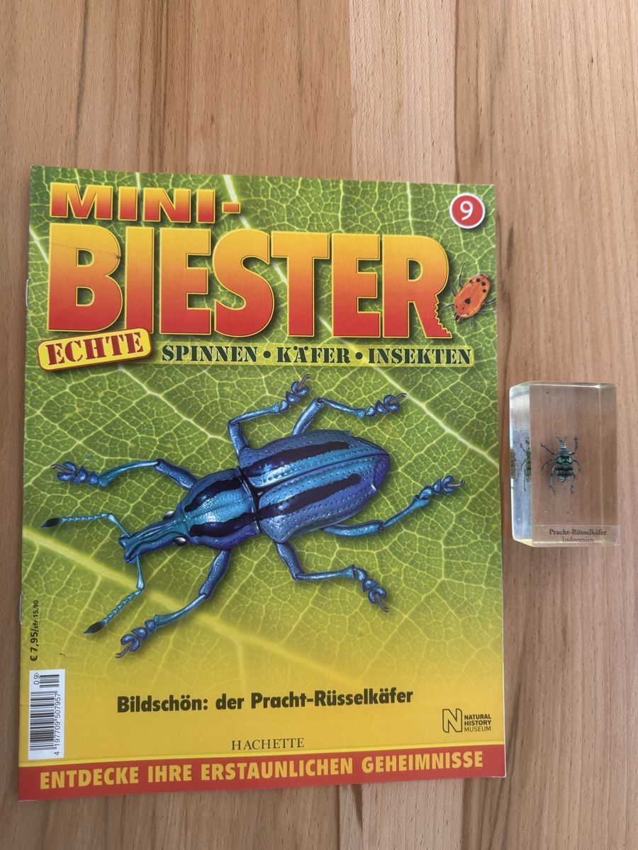 Riviste & Magazine: Mini Biester Heft und block Nr. 9 – Usato da Grenchen venduto da Bastet007