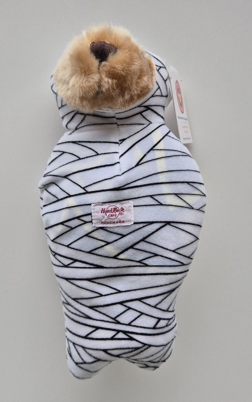 Giocattoli: Hard Rock Teddy – Nuovo (secondo la descrizione) da Wilen (Sarnen) venduto da starlet2012 2