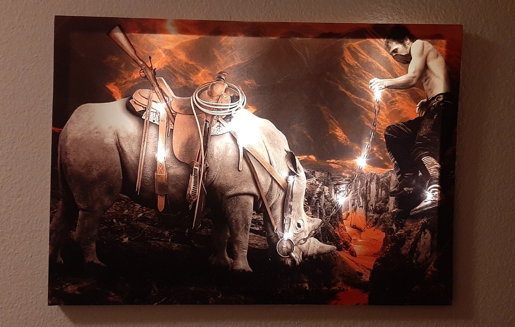 Poster & Bilder: LED Kunst BILD Nashorn und Mann 3D – Neu und originalverpackt aus Kilchberg ZH von ruedi34 5